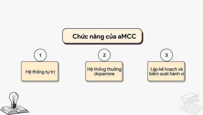 aMCC