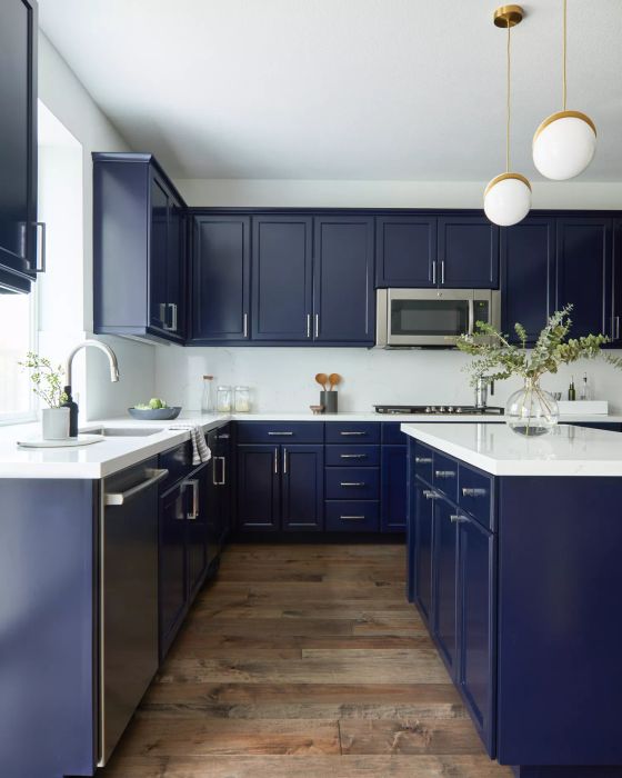 The kitchen painted in navy blue hues