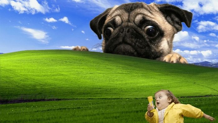 Mẫu hình nền Zoom hài hước
