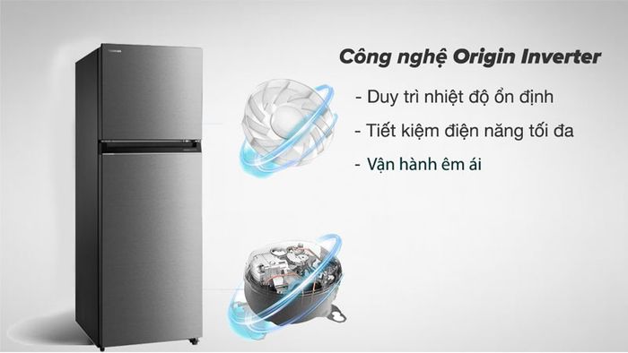 tu-lanh-300-lit-10