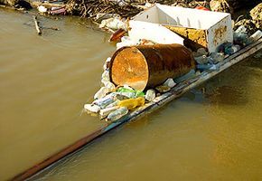 waste, nuclear contamination