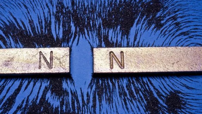 Magnet and Iron Filings