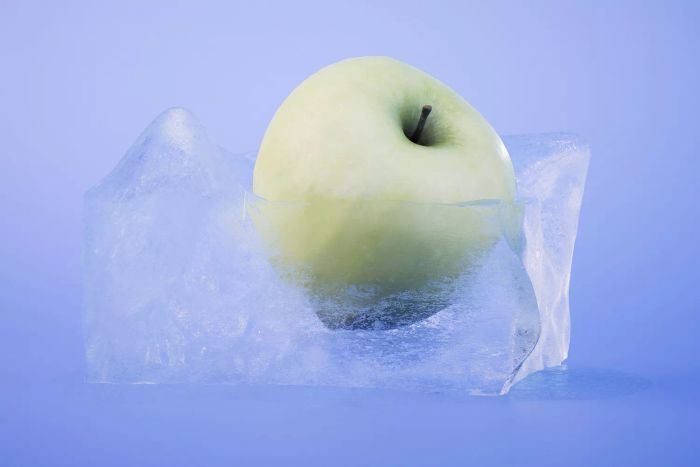 A melting ice cube containing a frozen apple slice
