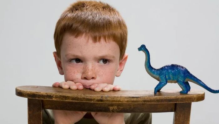 A child gazes curiously at a toy dinosaur