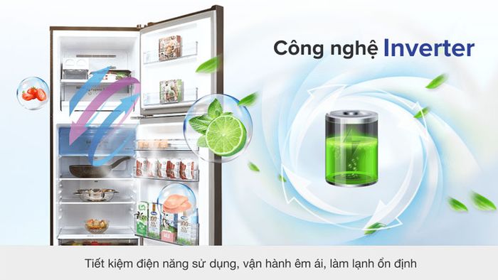 tu-lanh-300-lit-4