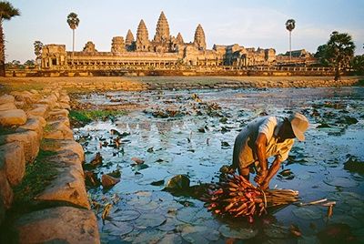 Cambodia-10083