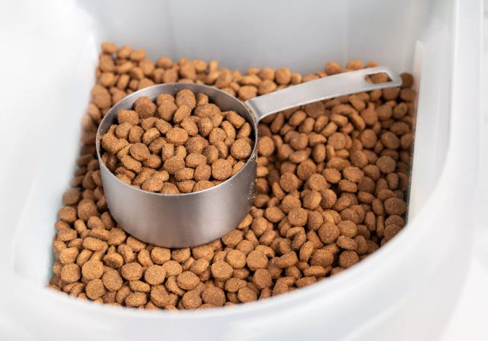 Pet food container