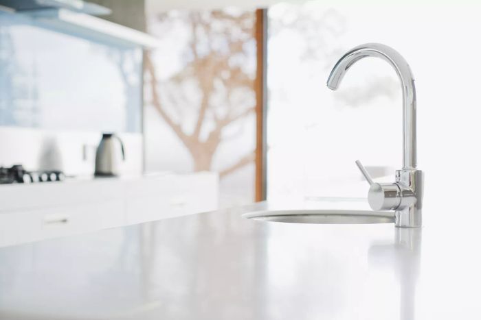 Elegant polished nickel faucet