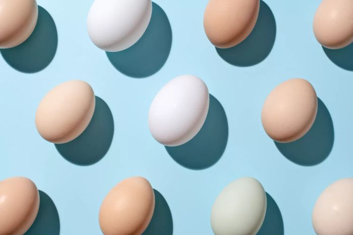 Close-up of Assorted Eggs with Different Shell Colors on a Light Blue Background
