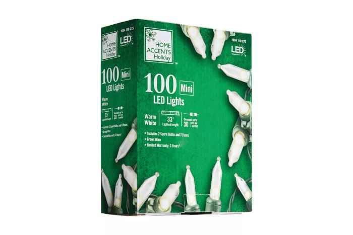 Home Accents Holiday 100-Light LED Mini Warm White String Lights