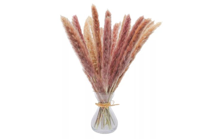 Foeses 30 Pcs 45 cm All Natural Dried Pampas Grass Vase Decor - Dried Flowers