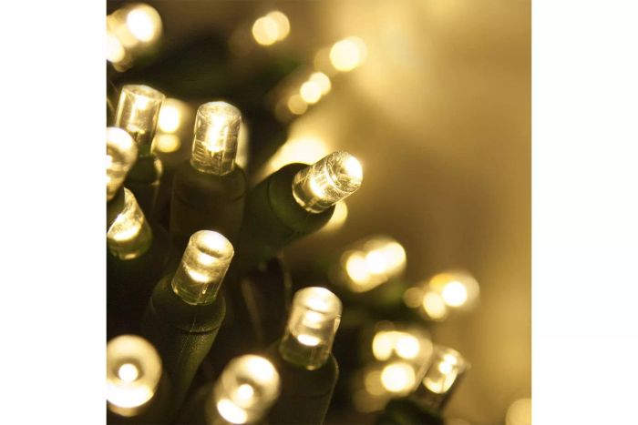 Wintergreen Lighting 5mm LED Wide Angle Light Set