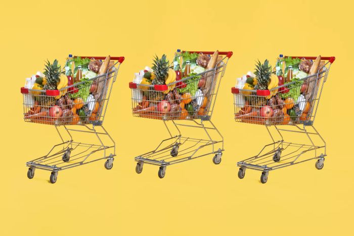 a lineup of shopping carts