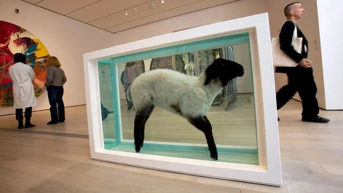 Damien Hirst's preserved sheep in formaldehyde