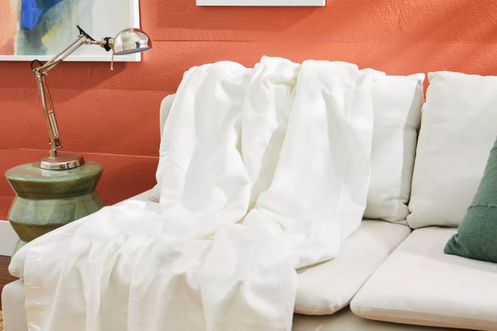 The Cozy Earth Bamboo Blanket draped across a couch