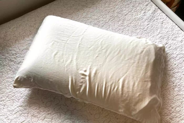 A photo of a pillow neatly placed inside the Cozy Earth Bamboo Pillowcases