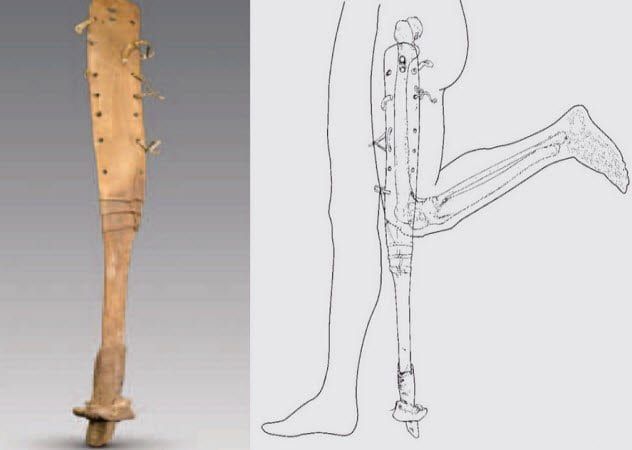 7-leg-with-horse-hoof