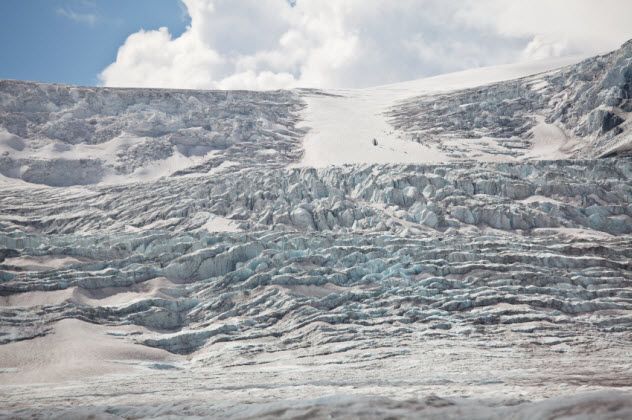 4-ice-age-superbug_000025383662_Small