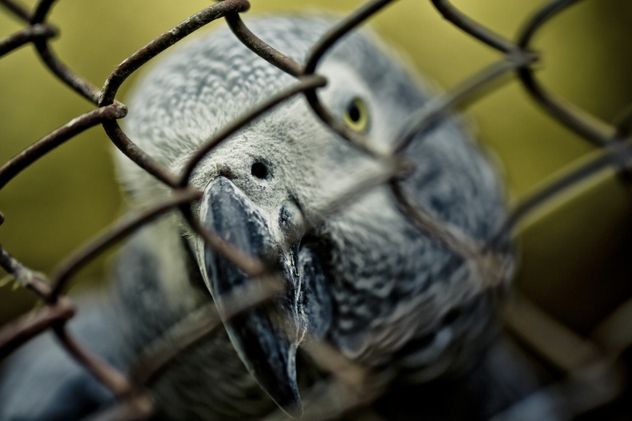 0_ThinkstockPhotos-482645996