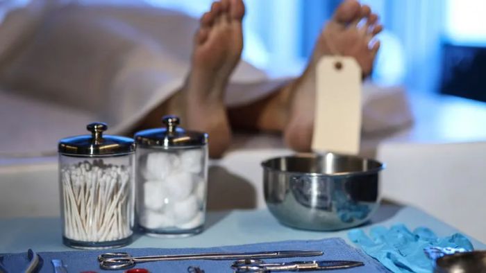 post-mortem examination