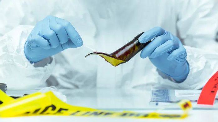 post-mortem examination