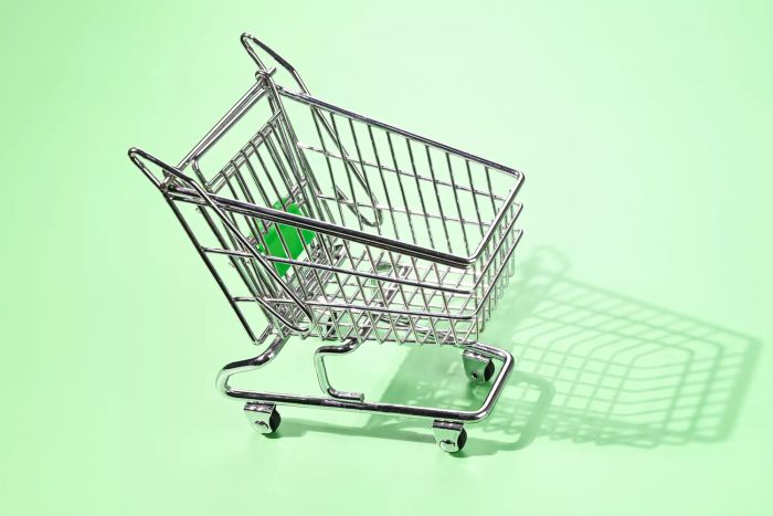 shopping cart