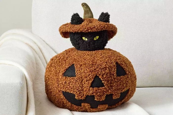 Peek a Boo Cat Pillow