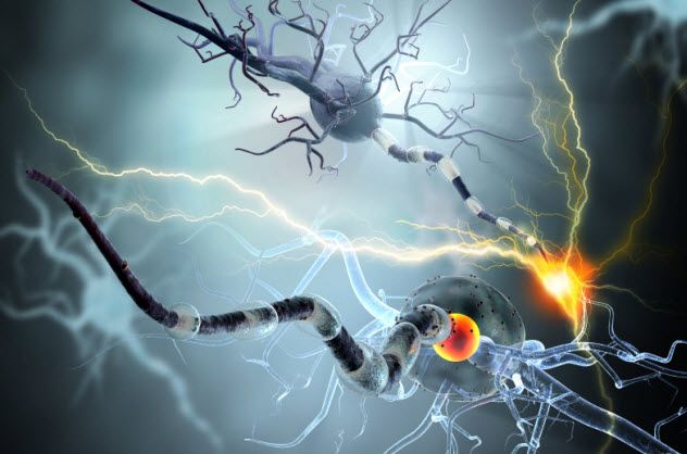 1-epilepsy-brain_000058141064_Small