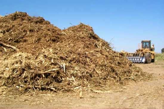 Woodpulp