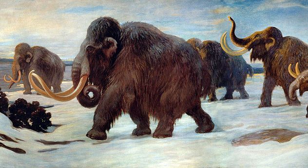 6_1024px-Wooly_Mammoths
