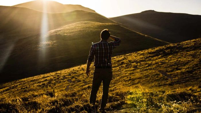 Identify the Symptoms of Tick-Borne Diseases