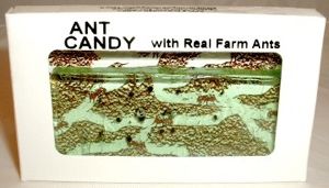 Antcandy