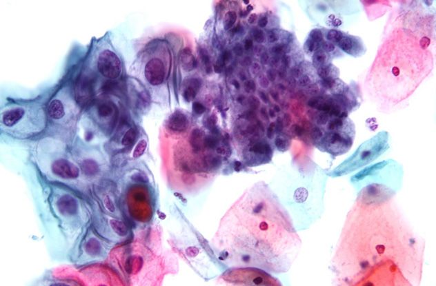 Mainstays Solid Bath Towel, Rich Black