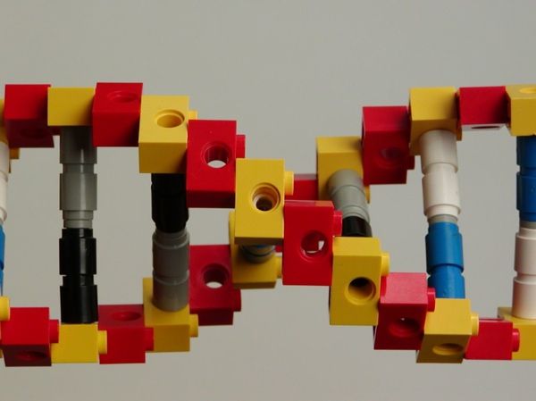 Lego Dna