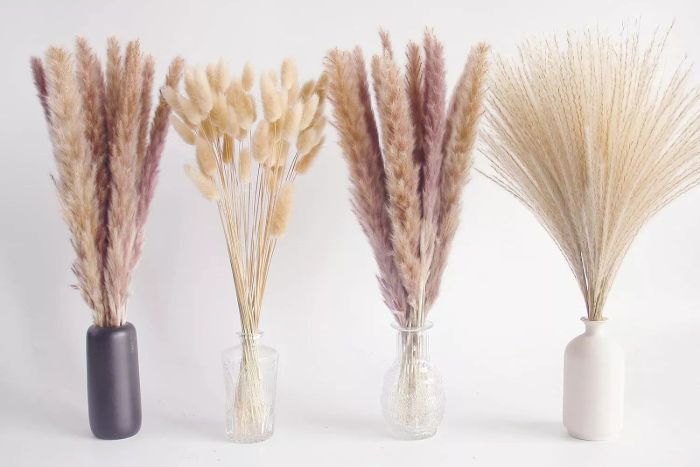 Natural Dried Pampas Grass Decor, Brown Pampas Grass