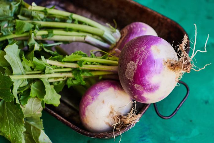 A top-down view of fresh organic turnips displayed on a wooden tray, set against a green backdrop