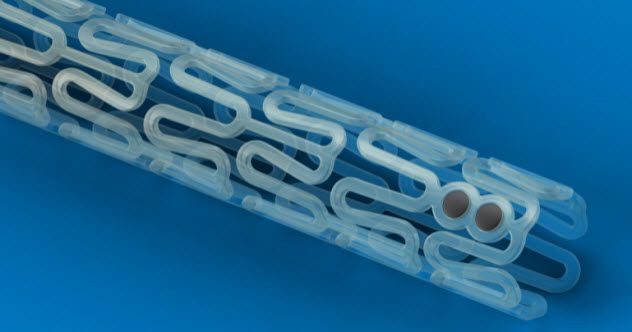 5-Bioabsorbable-Grafts