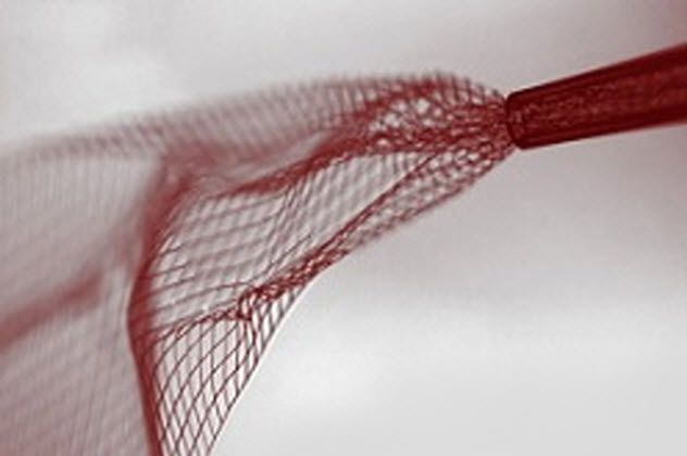 1a-Injectable-Brain-Mesh