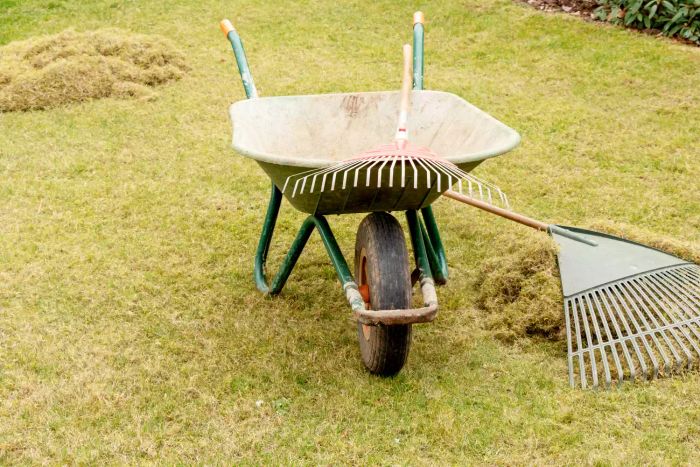 A scene of garden tools and materials used for dethatching, alongside a wheelbarrow and rake for cleaning up fallen leaves.