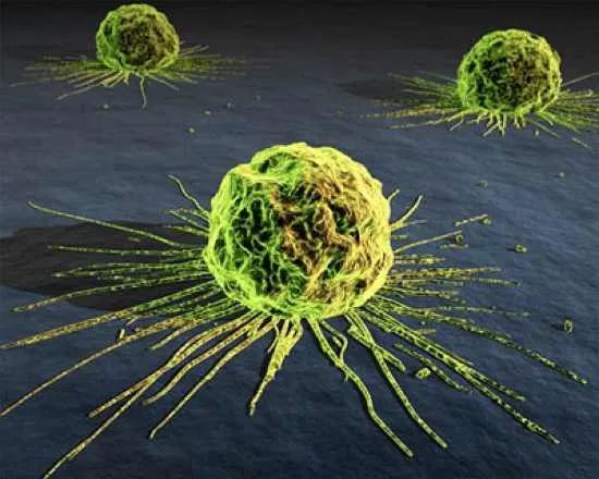 Cancer Cells