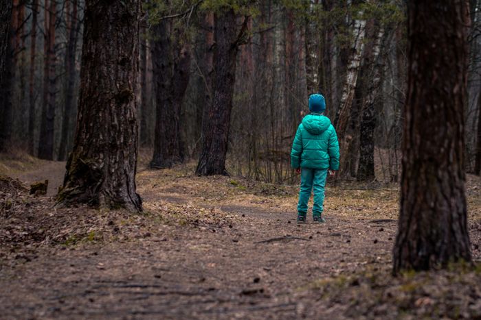 A lone child standing amidst the woods