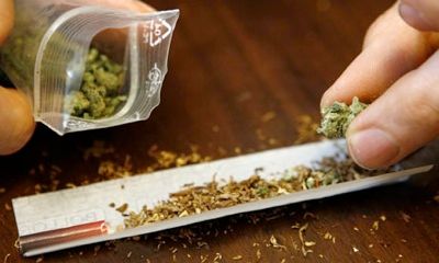Cannabis 2