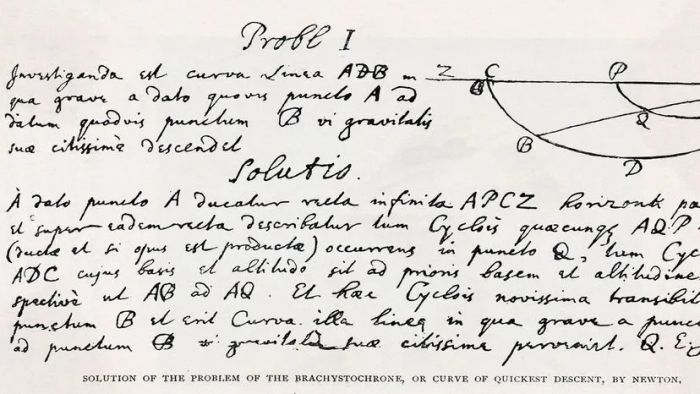 Newton