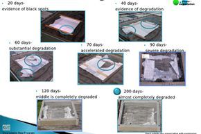 the photodegradation process of plastic bags