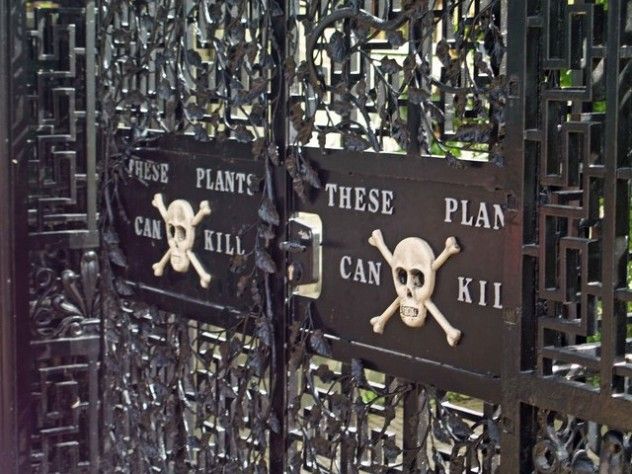 9 Poison garden
