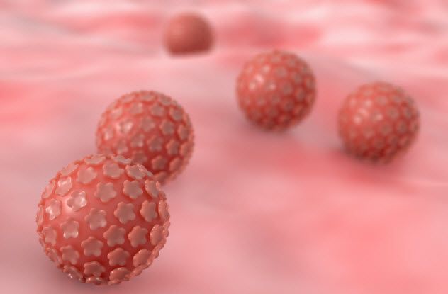 8d-human-papilloma-virus_000087585113_Small