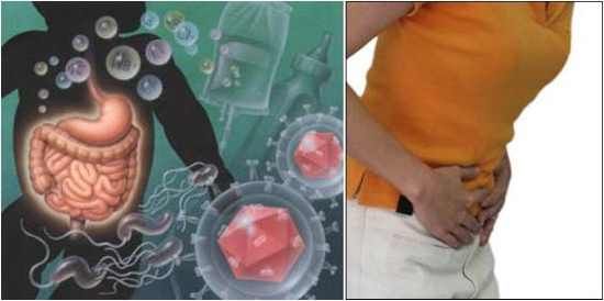 Gastroenteritis-Photo-Intestine1