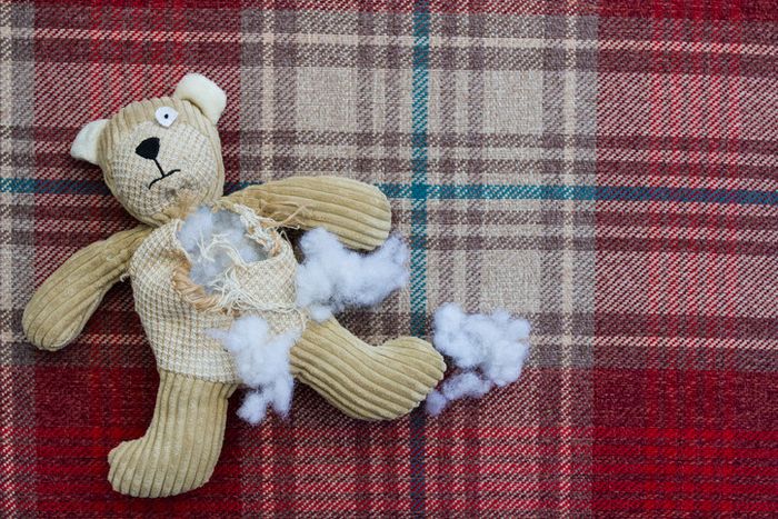 Dog toy that's been torn apart