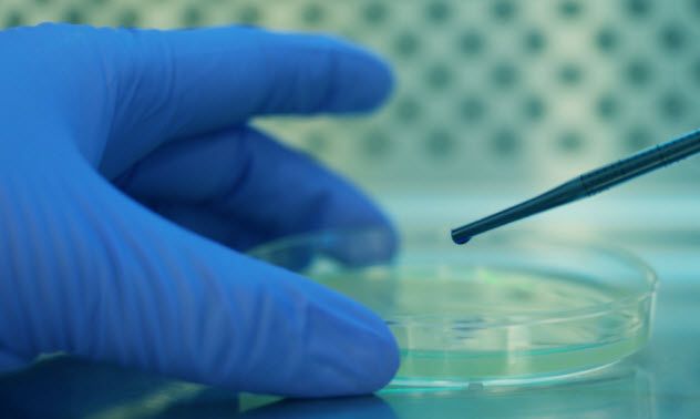 3-lab-sample_000089590801_Small