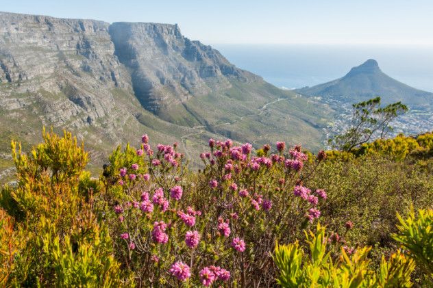 6 devil's peak